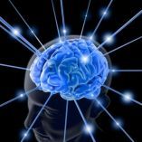 Что происходит в мозге при обновлении сознания?